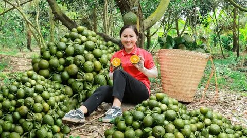 Top 10 trường tỷ lệ 'chọi' vào lớp 10 cao nhất TP.HCM 2025