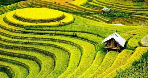 Hotspot Matrix – Kết thúc hành trình 3 ngày rực rỡ tại SECC 2025